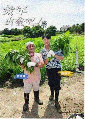 论理电影网声音先行听觉叙事索引卡封面